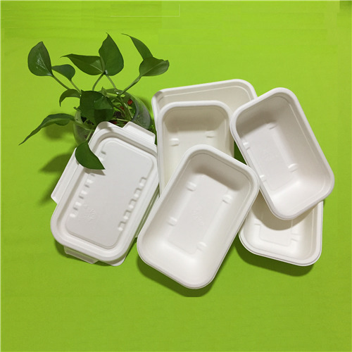 benefits of bagasse tableware