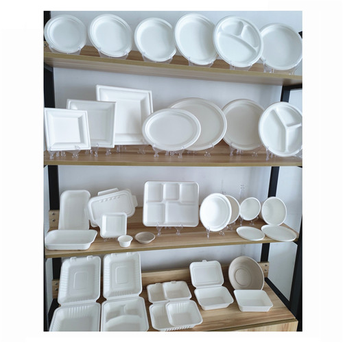 sugarcane bagasse tableware