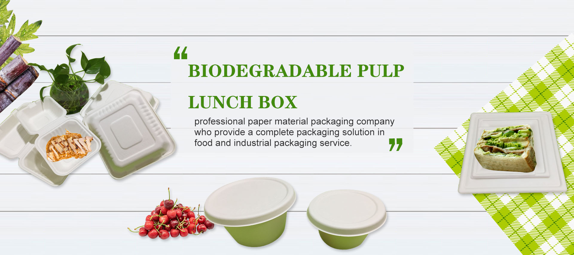 sugarcane pulp plates