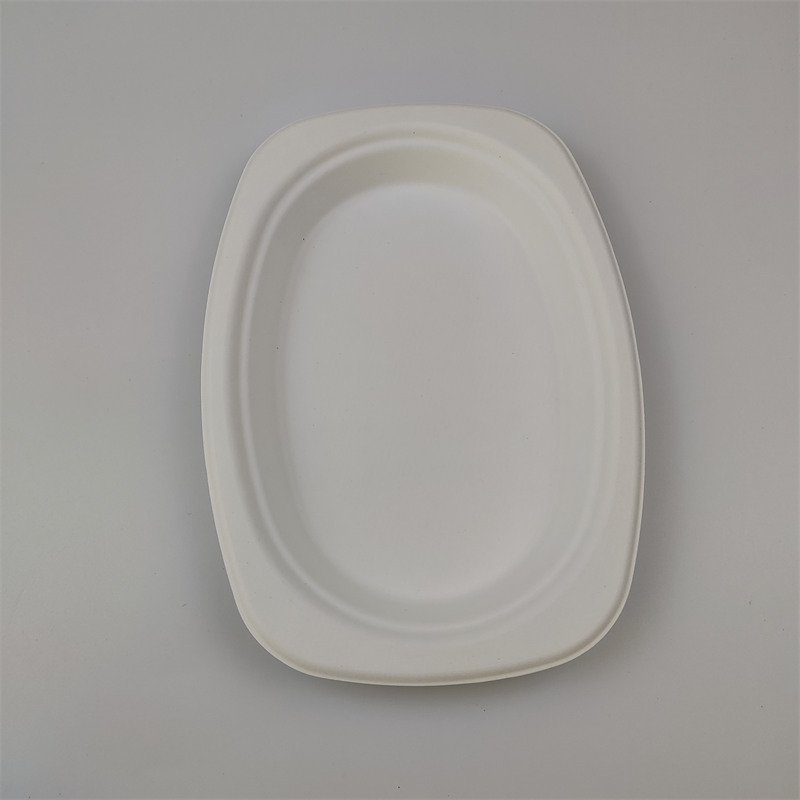 bagasse Oval Plate 9'' x 6''