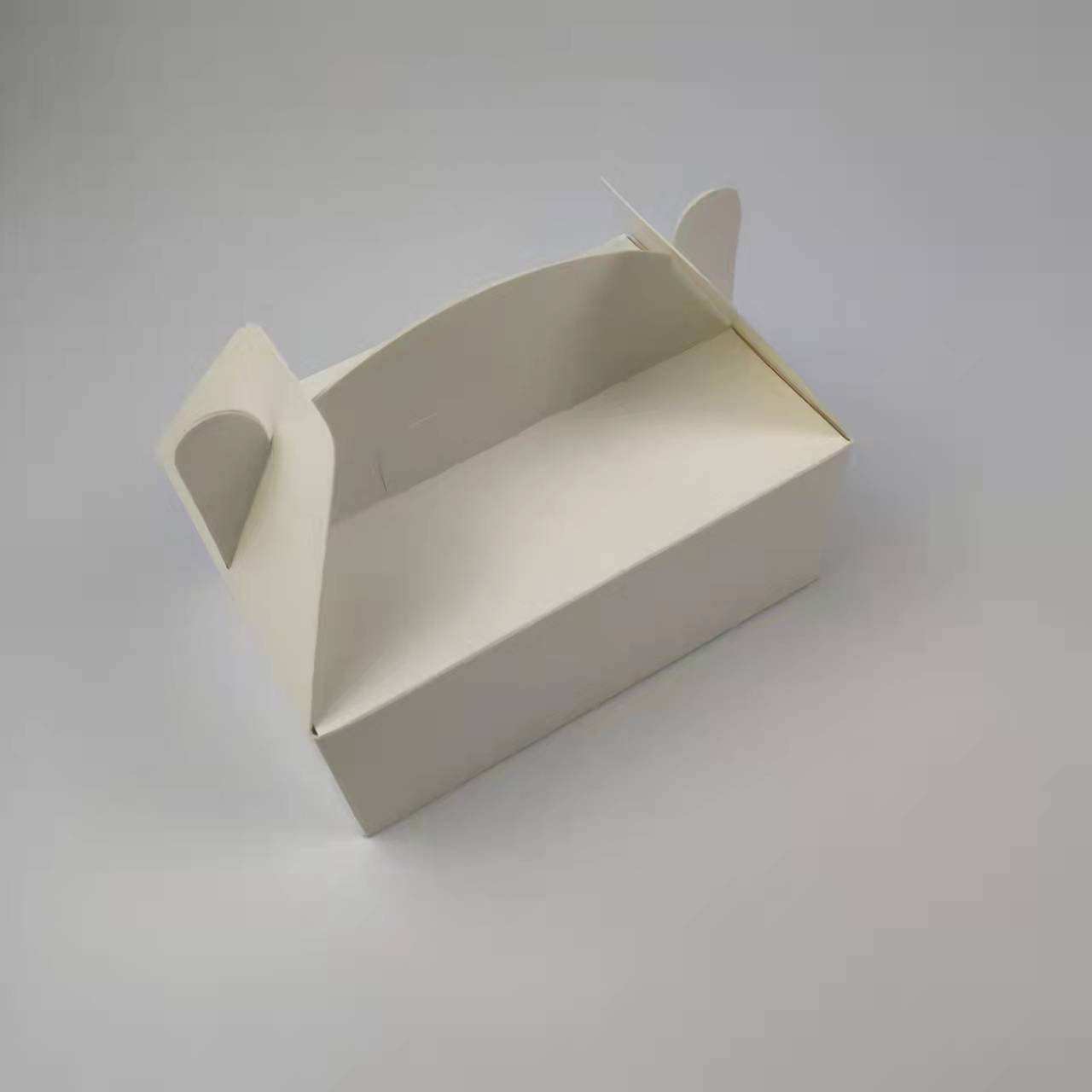 Paper takeaway boxes