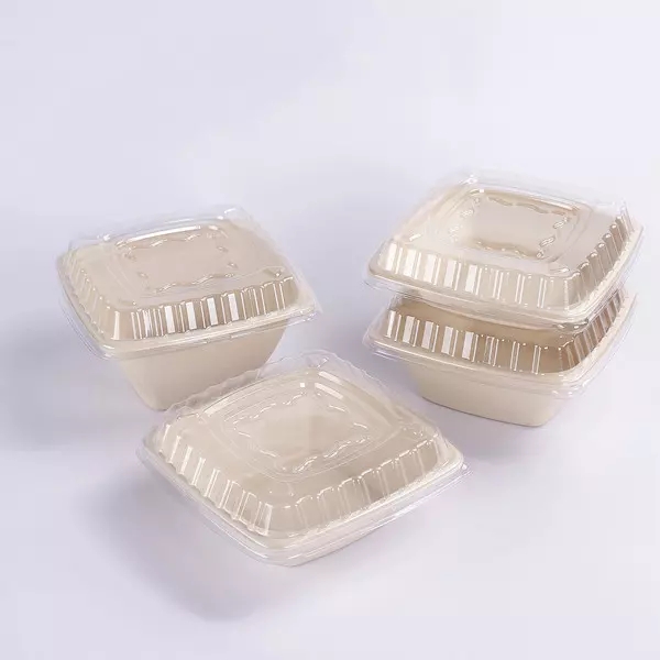 Bagasse Square Bowl