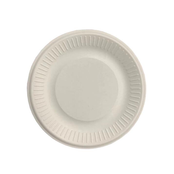 Fancy Compostable Plates