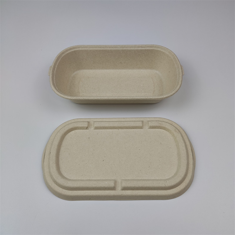 Bagasse Packaging 