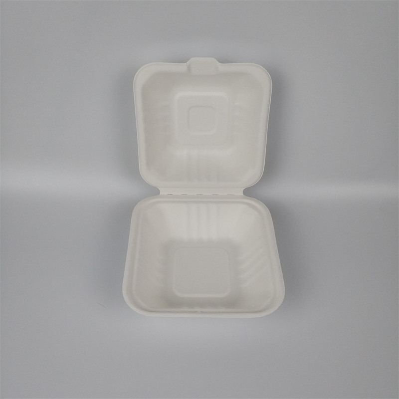 Sugarcane Pulp 6 inch Clamshell Box