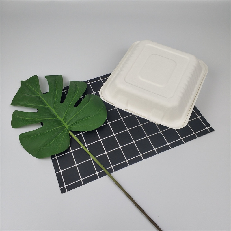 9 inch sugarcane bagasse food box