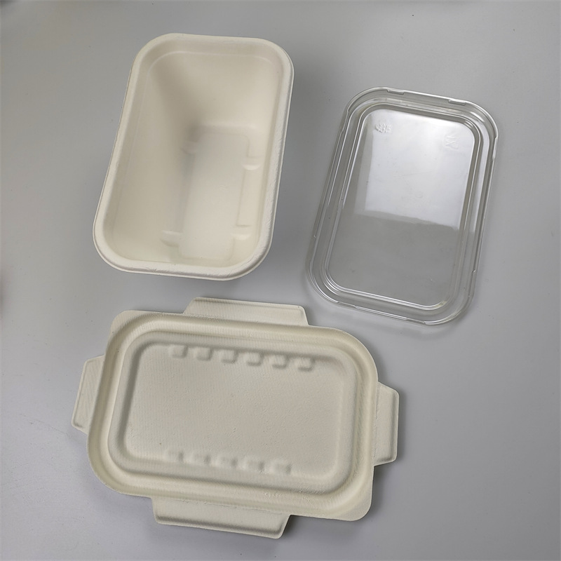 1000 ml Rectangular Bagasse Container