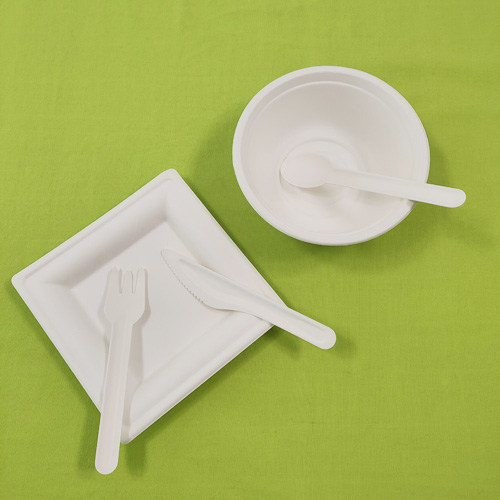 bagasse cutlery