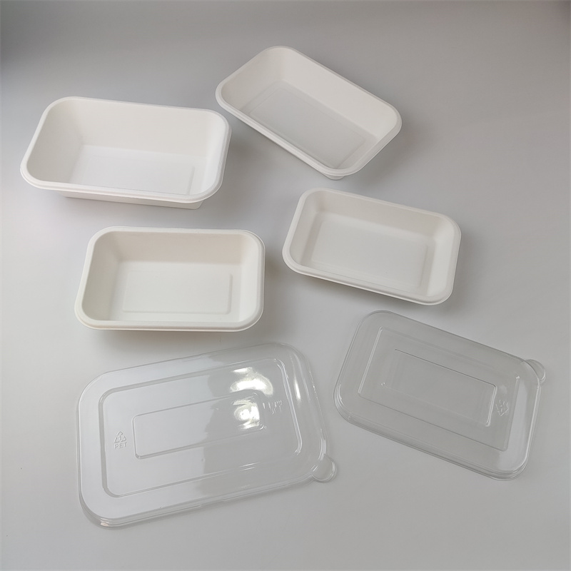 Bagasse Rectangular Container