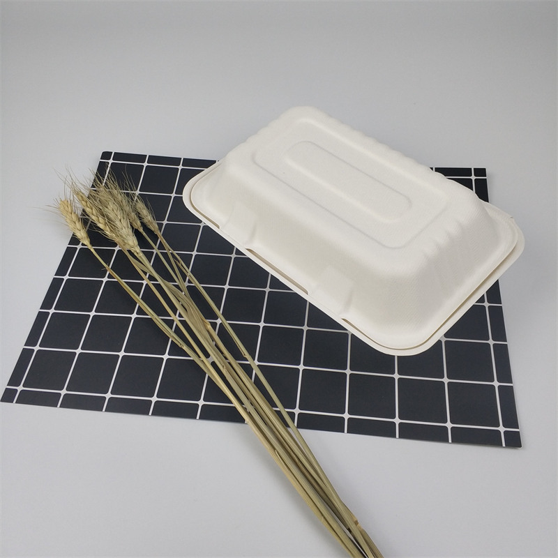 Biodegradable Disposable Sugarcane Bagasse 9*6inch To Go Food Box