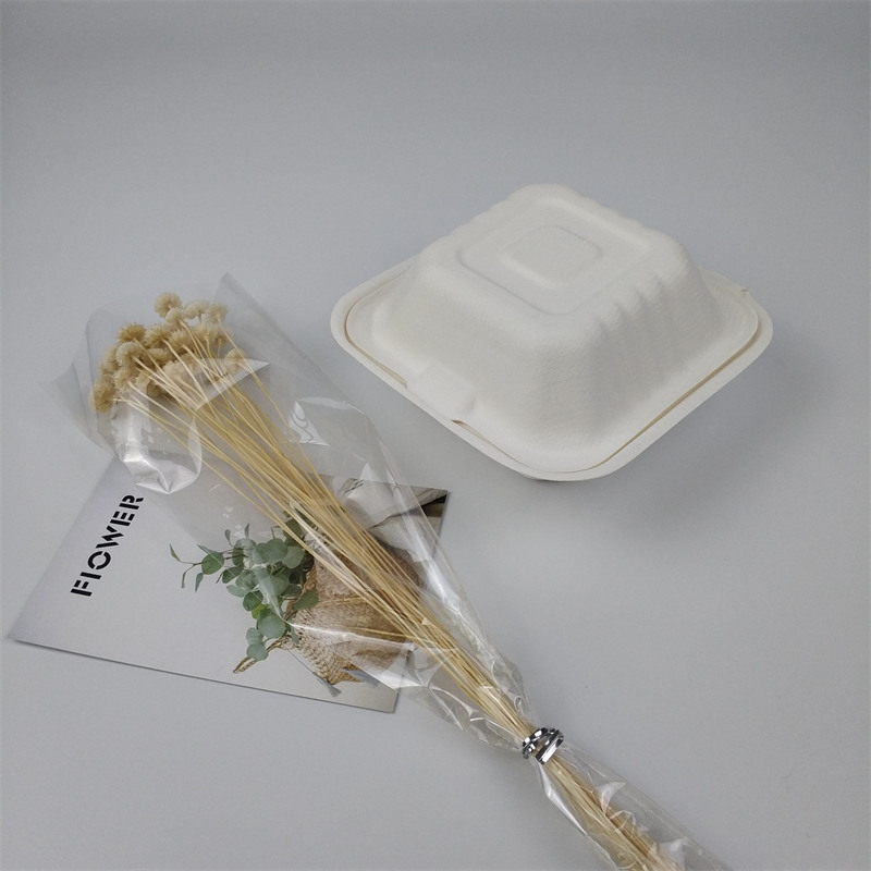 Compostable 6 Inch Burger Box