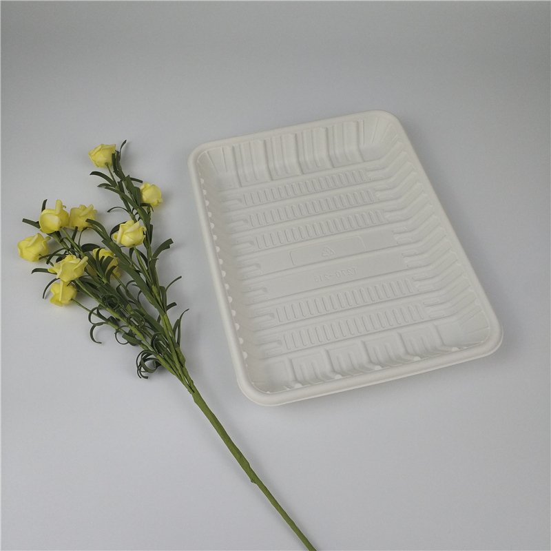 Disposable corn starch plates