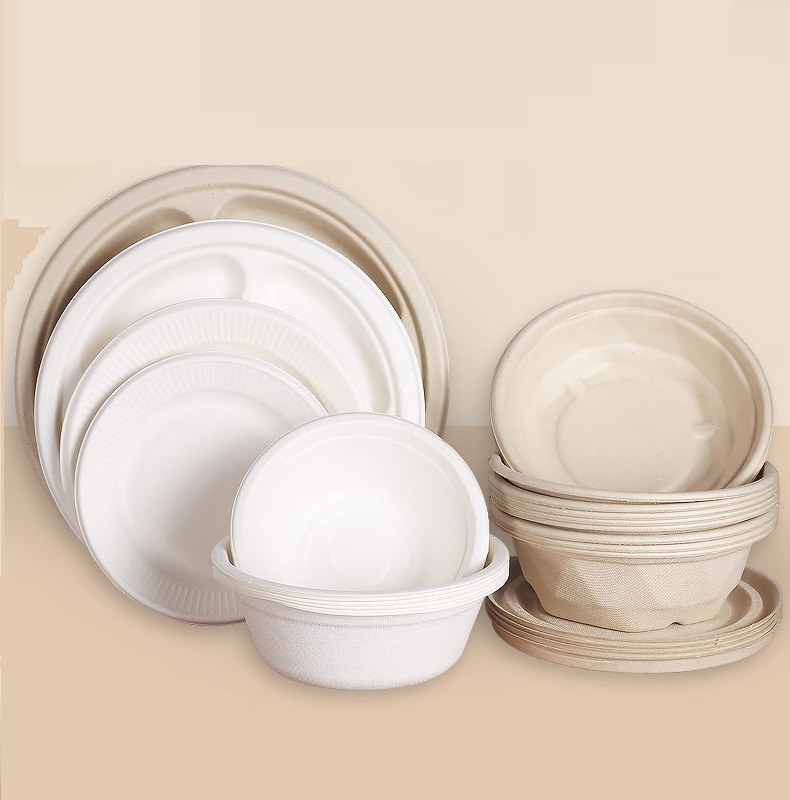 bagasse food packaging products