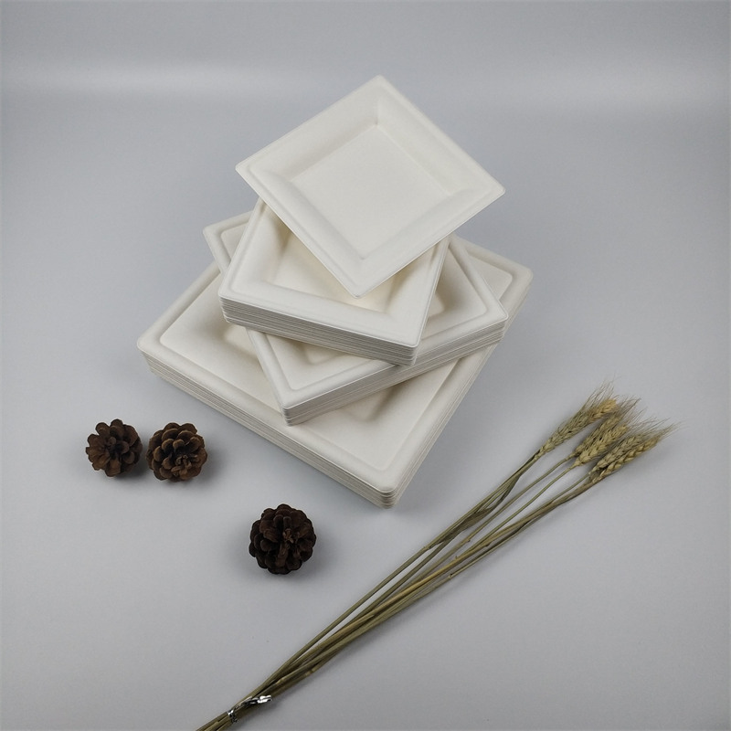 Premium Quality Classical Dessert Square Plates