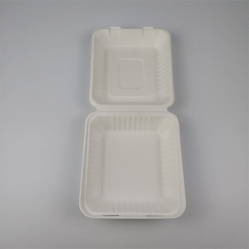 sugarcane bagasse to go box