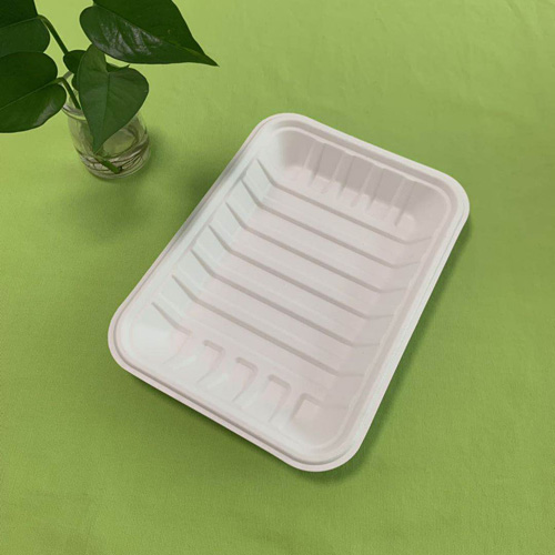 Sugarcane meat trays